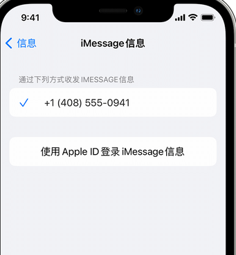 萧县apple维修iPhone上无法正常发送iMessage信息 