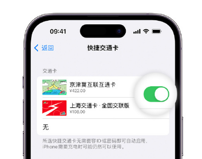 萧县apple维修点分享iPhone上更换Apple Pay快捷交通卡手绘卡面 