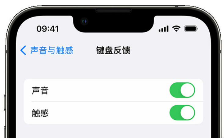 萧县苹果手机维修分享iPhone 14触感键盘使用方法 