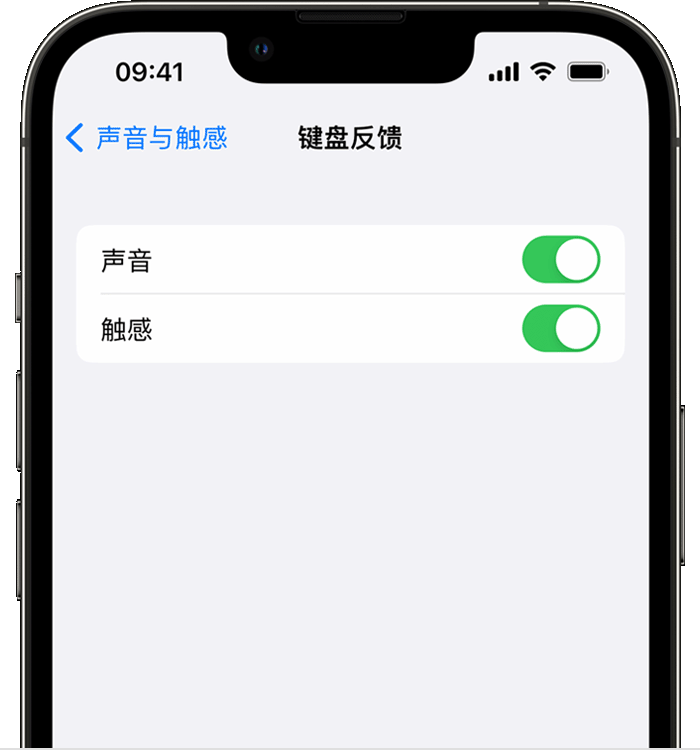 萧县苹果14维修店分享如何在 iPhone 14 机型中使用触感键盘 