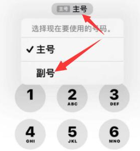 萧县苹果14维修店分享iPhone 14 Pro Max使用副卡打电话的方法 