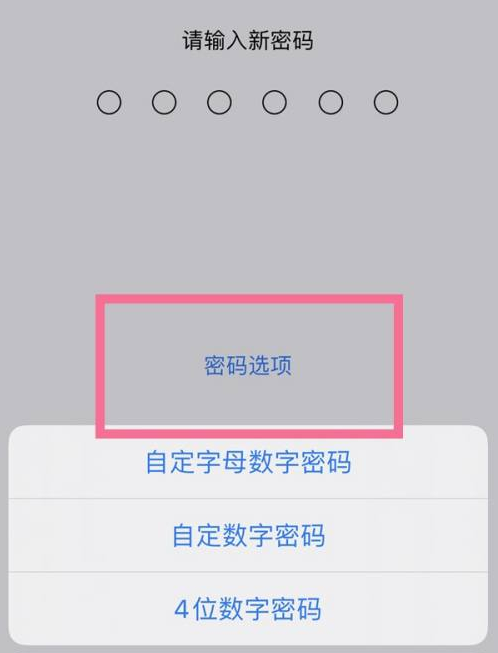 萧县苹果14维修分享iPhone 14plus设置密码的方法 