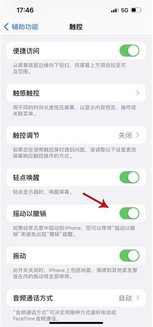 萧县苹果手机维修分享iPhone手机如何设置摇一摇删除文字 