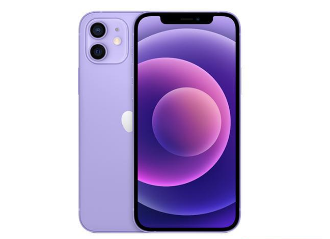 萧县苹果手机维修分享现阶段要不要入手紫色版iPhone12 