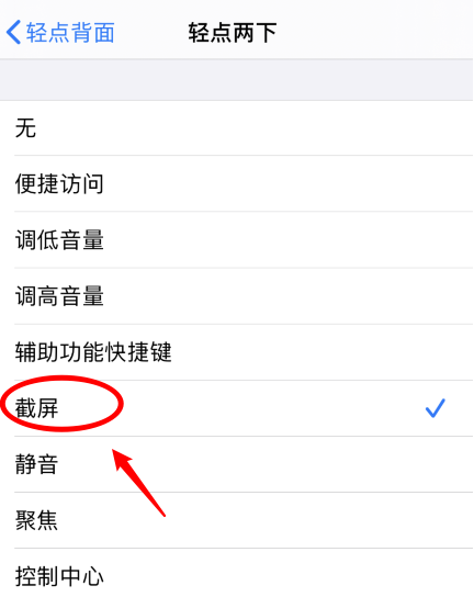 萧县苹果手机维修分享iPhone12如何启用双击截屏 
