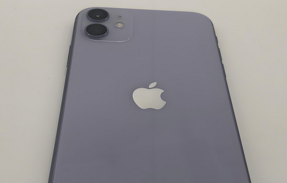 萧县苹果11系统维修分享iPhone11手机系统崩溃无法开机如何解决